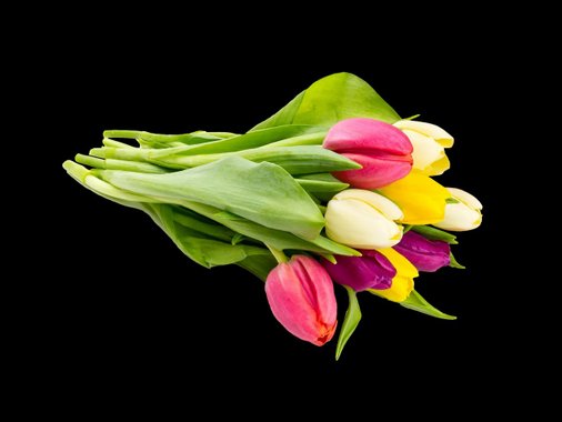 Лалета микс