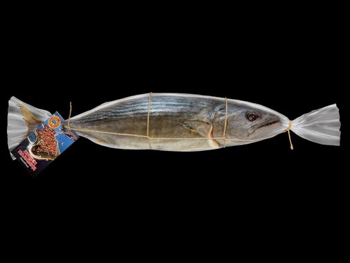 Пушен паламуд