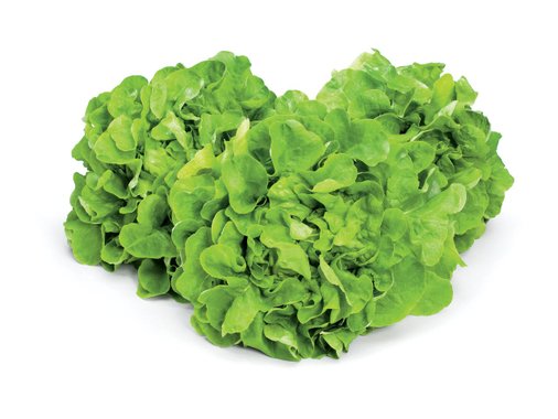 Салата Джентилина