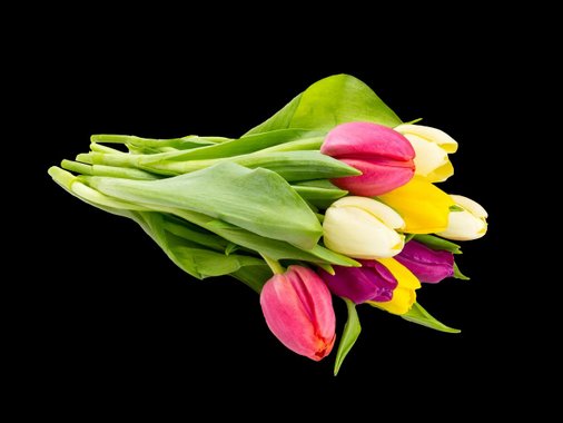 Лалета микс