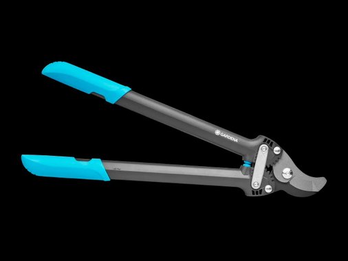 Ножица за клони