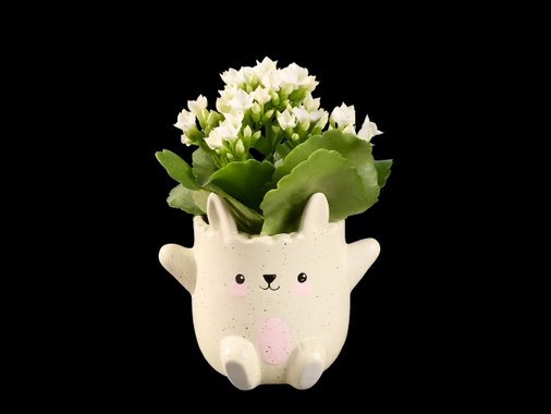 Мини каланхое „Великден“