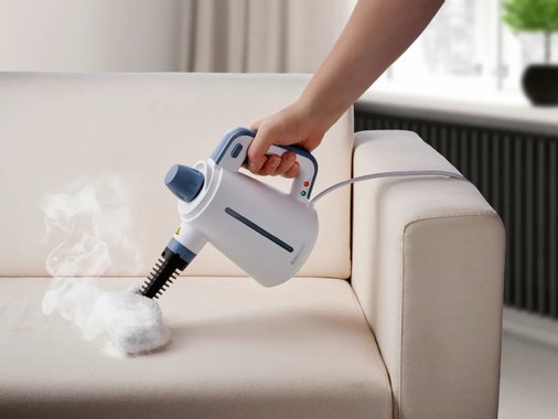 Ръчна парочистачка