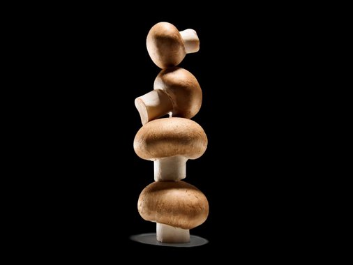 Кралски печурки