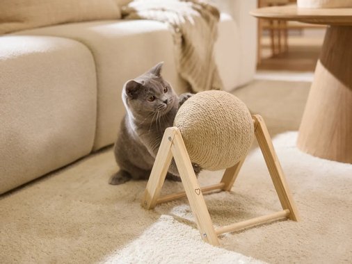Драскалка за котка