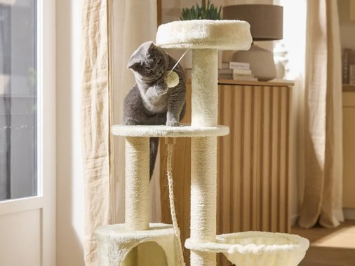 Катерушка за котка