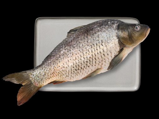 Пресен шаран