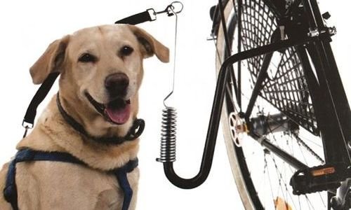 Държач на каишка за колело Beasty Dog Guide Bike T