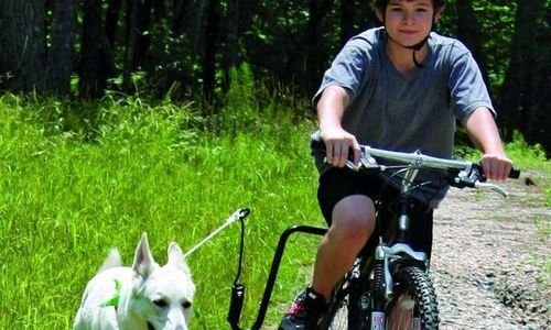 Държач на каишка за колело Beasty Dog Guide Bike T