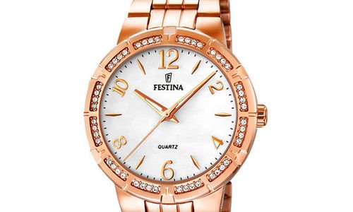 Дамски часовник Festina F16705/1 аналогов 