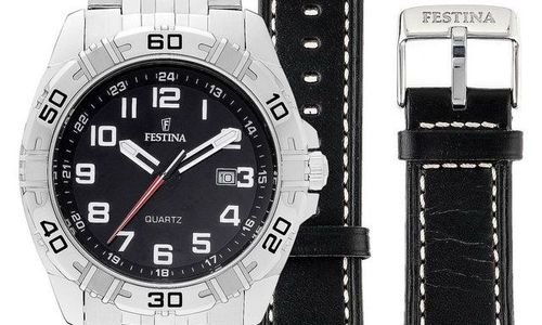 Мъжки часовник Festina F16495/2 аналогов Спортно 