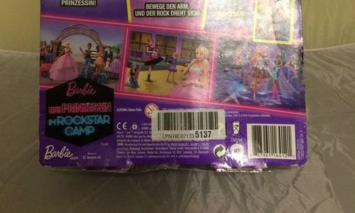 Кукла Барби Ерика Mattel Barbie Rockstar Camp CMT0