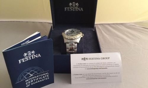 Аналогов мъжки часовник Festina F16242/1  