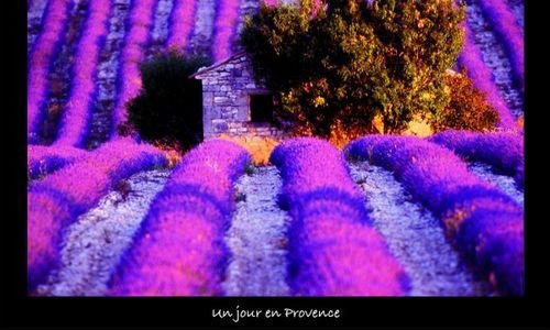 Пъзел Nathan 1000 части Un jour en Provence от Vin