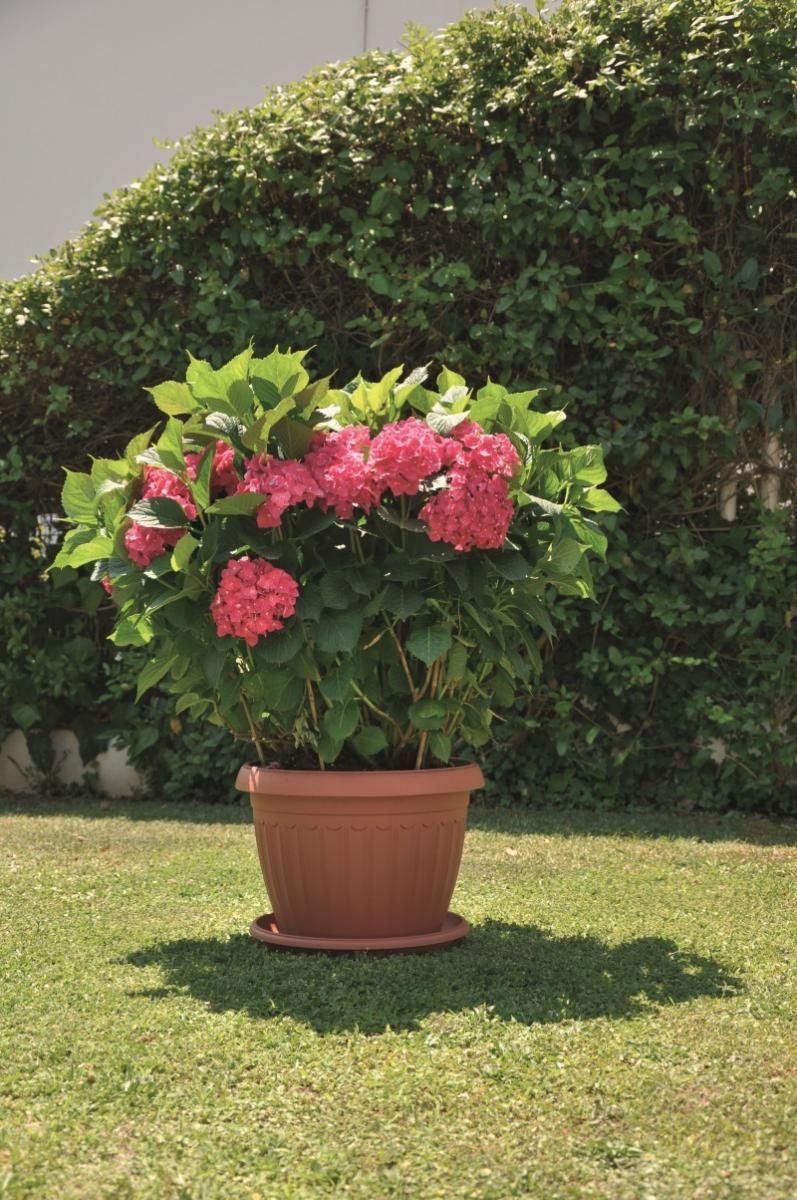 САКСИЯ КОРФУ 45Х34 | Mr Bricolage | Oferta.bg