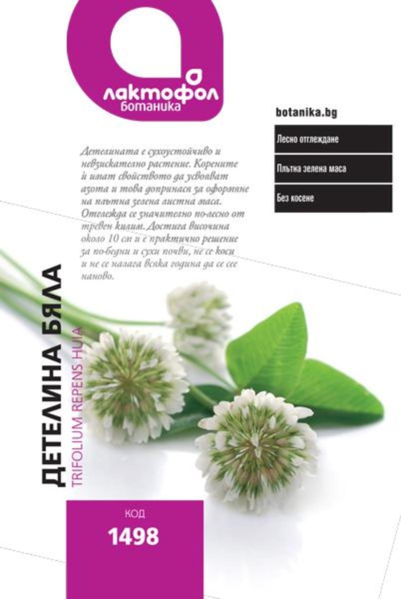 ДЕТЕЛИНА БЯЛА 200ГР | Mr Bricolage | Oferta.bg