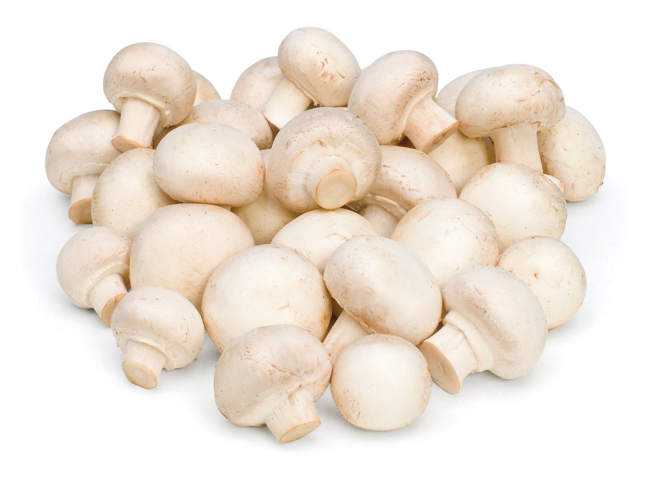 Бели печурки