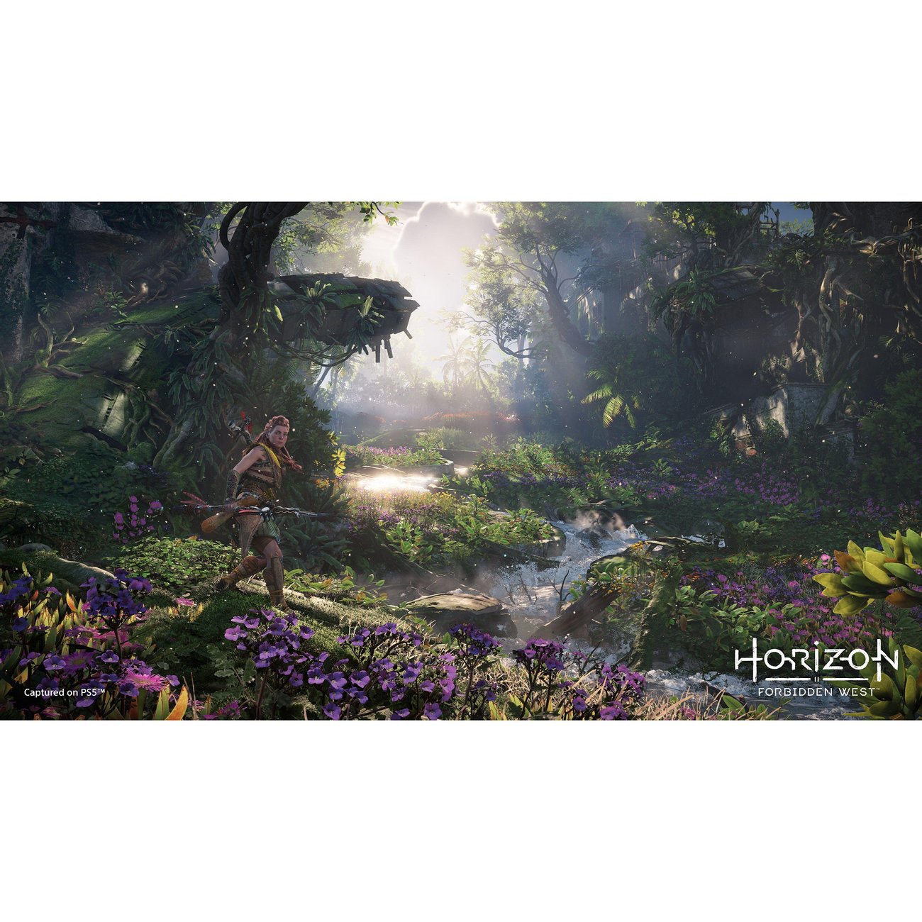 Игра Horizon Forbidden West Col Edition (PS4/PS5)