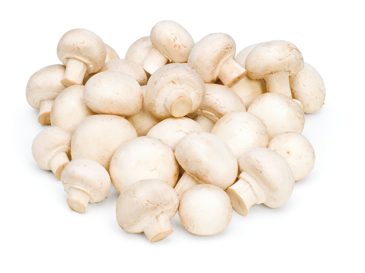 Бели печурки