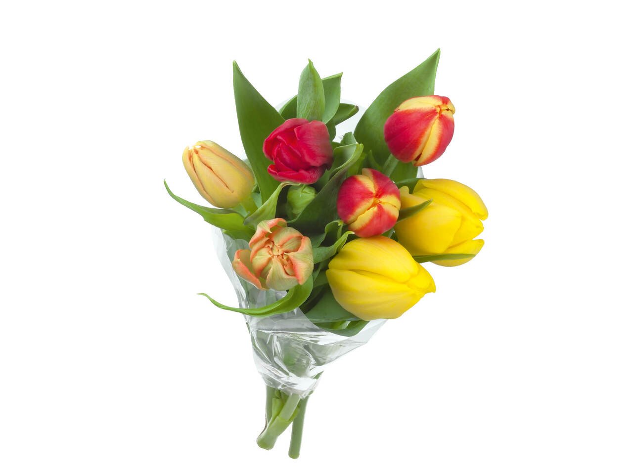 Лалета | Лидл | Oferta.bg