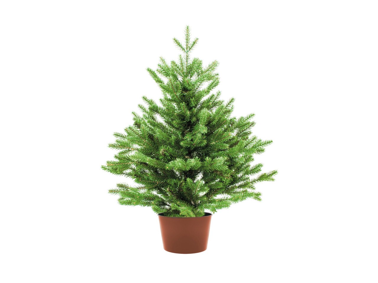 Естествена коледна елха | Лидл | Oferta.bg
