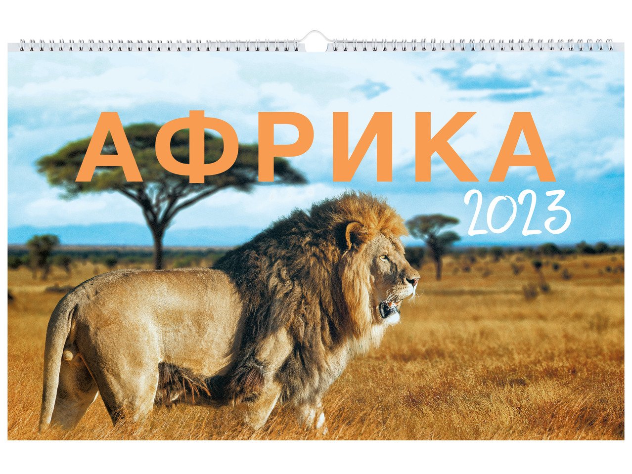 Календар | Лидл | Oferta.bg